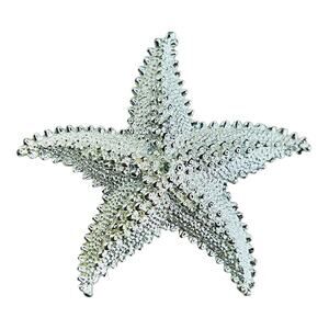Starfish Silver Tone Textured Brooch
